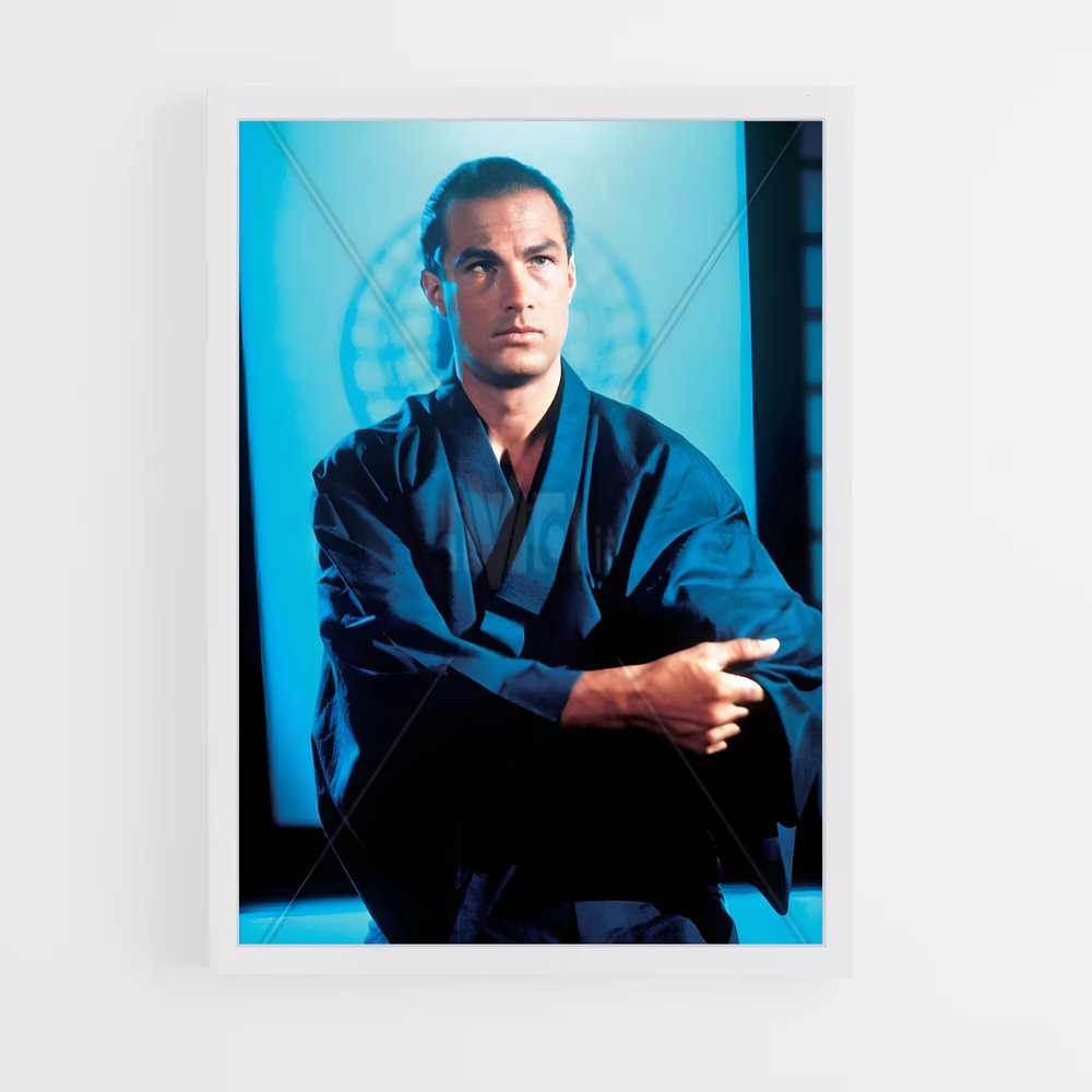 Poster Steven seagal agrémenter – affiche Aikido (vue 3)